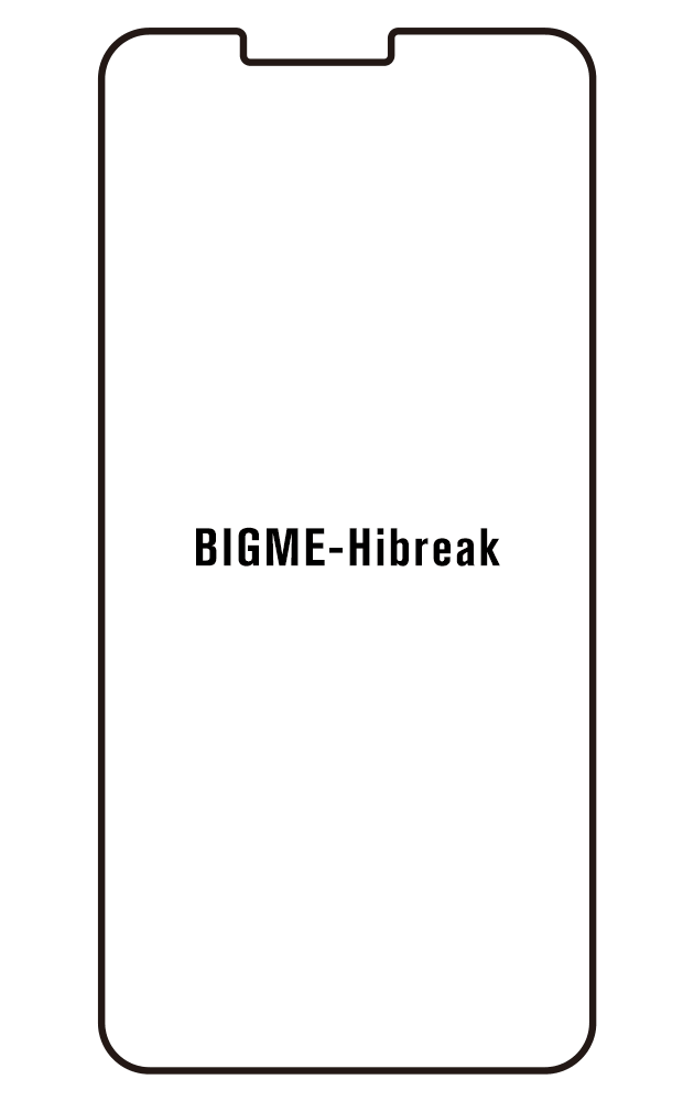 Film hydrogel pour Bigme Hibreak