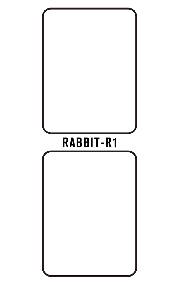 Film hydrogel pour Rabbit R1