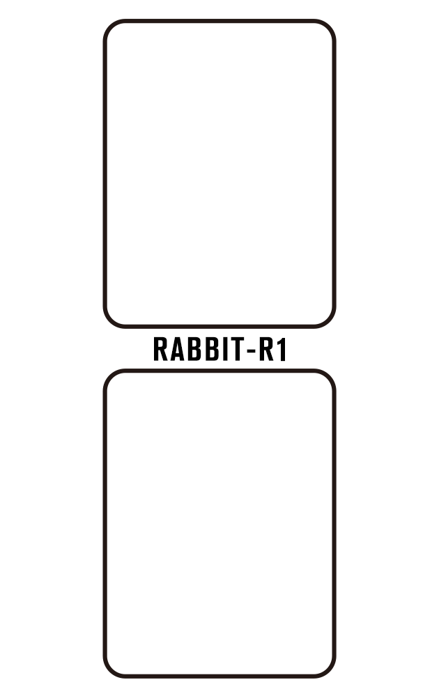 Film hydrogel pour Rabbit R1