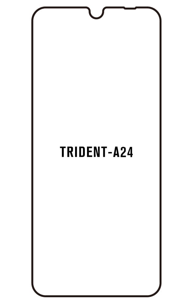 Film hydrogel pour TRİDENT A24