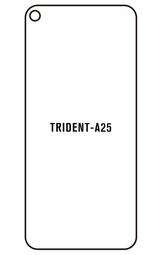 Film hydrogel pour TRİDENT A25