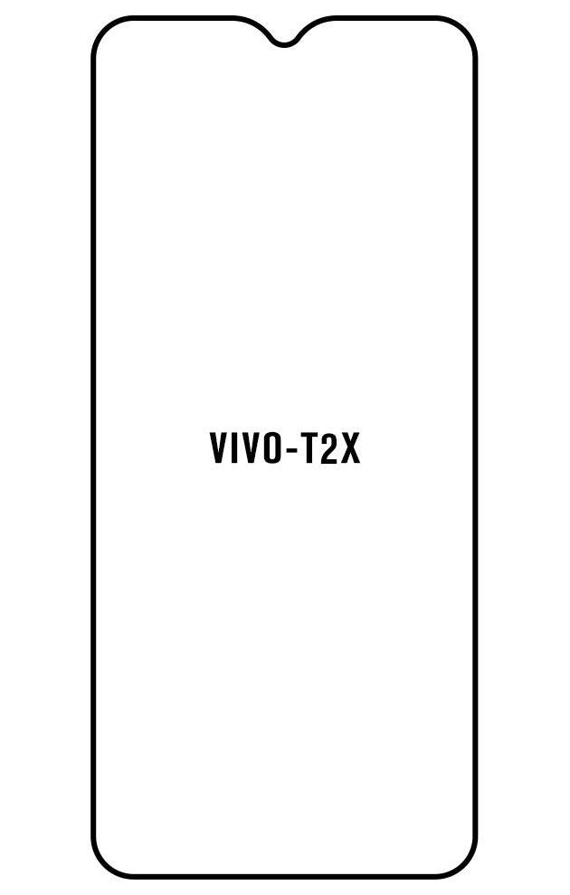 Film hydrogel pour Vivo T2x